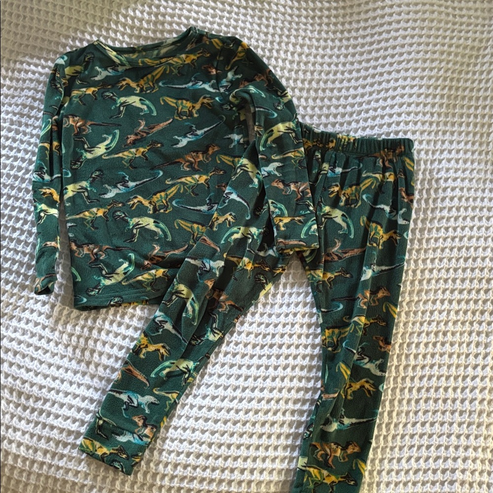 Dinosaur Print Fleece Pajama Set
